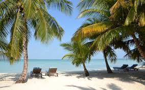 Image result for bahamas