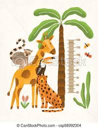 Childrens Height Wall Chart In Centimeters Decorated With Tropical Palm Tree Jungle Plants And Funny Cartoon Exotic Animals Colorful Vector