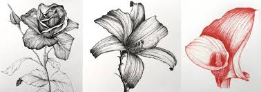 We did not find results for: How To Draw Any Flower With Pen Ink Ran Art Blog