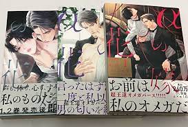 αの花嫁共鳴恋情幸村佳苗岩本薫1-3 3冊日版BL 漫畫, 興趣及遊戲, 書本& 文具, 漫畫- Carousell