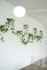 700 Home Decor Ideas The Ultimate Home Decorating Guide Indoor Vines Plant Decor Indoor Plant Wall