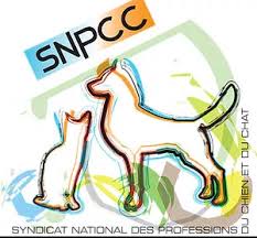 We did not find results for: Brevet National De Toiletteur Canin