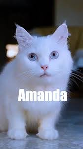 Amanda Yaw's Instagram, Twitter & Facebook