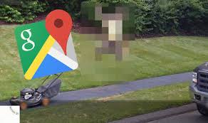 Cbn designs on what is this zebra doing? Google Maps Street View Funny Capture Shows Man Celebrating As He Uses A Lawn Mower Travel News Travel Express Co Uk