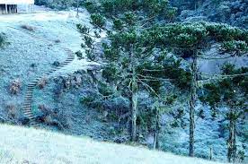Geralmente, é a primeira no país a registrar temperaturas negativas e precipitações. Onde E Possivel Ver Neve No Brasil Blog Da Maxmilhas