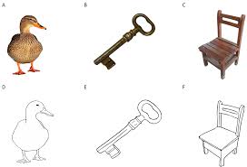 Maybe you would like to learn more about one of these? Examining The Influence Of Picture Format On Children S Naming Responses Peerj