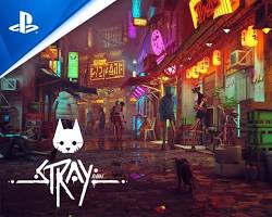 Bildmotiv: Stray