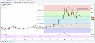 Litecoin Fibonacci Is Bitcoin Going Back Up Unity One East