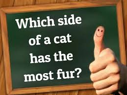Tricky Riddle Frank Was Born In 1933 And Died In 1946 Fun Things To Do When Bored