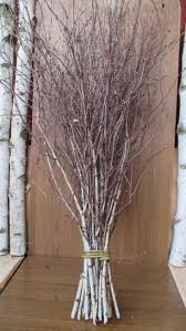 Birch Branches For Sale Extra Long Birch Twigs Birch Twigs Birch Tree Branches Etsy In 2020 Tree Branch Decor Birch Tree Decor Twigs Decor