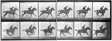 At yarişlarinda tek adres ganyantime.com anasayfaya gi̇t. Galop Definition And Synonyms Of Galop In The French Dictionary