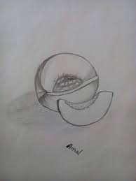 بالعكس مغناطيس لهجة رسومات طبيعة صامتة comertinsaat com