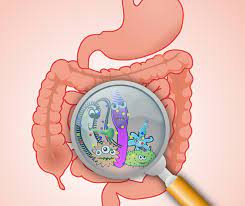 Check spelling or type a new query. Un Sistem Digestiv Sanatos Esential In Prevenirea Bolilor Farmacia 3
