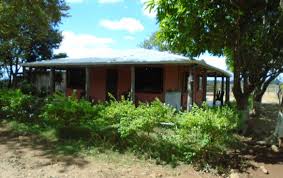 24 Acre Self Sustainable Farm With 1750 Mesino Lime Trees For Sale Located 16 Km North Of The Pan American Highway Just 1 Km Costa Rica Real Estate Acre Farm