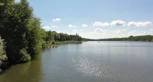 La première moitié est bien plus intéressante tandis que les. Promenade Autour Des Etangs De Hollande