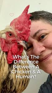 How to make a happy #Caturday 🔥