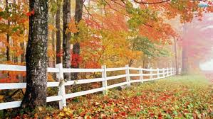 Maybe you would like to learn more about one of these? Windows 10 Wallpaper 4k Nature 3840x2160 Wallpaper Teahub Io