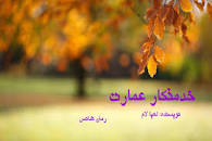 نتیجه تصویری برای رمان خدمتکار عمارت از لعیالام
