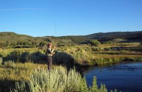 Angling toward a better planet: How fly fishing can teach us to appreciate  nature