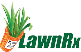 Proper lawn care services and maintenance from experienced experts can make a difference. Lawn Care Services Pest Control Services Near Me Lawn Rx