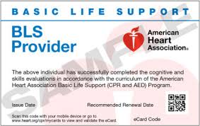 Those looking to attend a renewal session must hold a current recommended renewal date healthcare provider card issued via the american heart association. Lost Your Cpr Card Bls Acls Pals Cpr Classes In Ocala