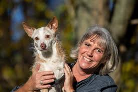 Es werden vor allem tiere, welche sich in tierheimen bzw. Wdr Reportage Tiere Suchen Ein Zuhause Naturheilpraxis Nicola Karmann