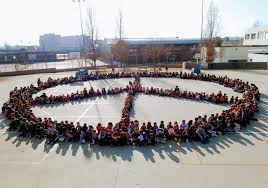 Resultado de imagen de escola guerau de liost