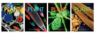 7,814 results match your criteria the plant celljournal. The Plant Cell The Plant Cell Updated Their Cover Photo