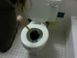 To 1/4 cup of detergent will suffice. Re Dish Soap Toilets The Real Way To Unclog A Toilet Delta Dorm Style Youtube