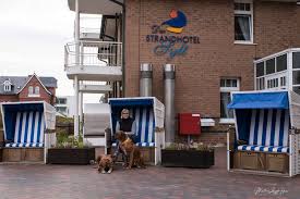 Maybe you would like to learn more about one of these? Das Strandhotel Sylt In Westerland Hunde Herzlich Willkommen
