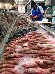 Visit broward county transit's web site at: Broward Meat Fish Grocery 8040 West Mcnab North Lauderdale Fl 33068