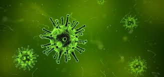 In humans and birds, they cause respiratory tract infections that can range from. Agrolab Hat Eine Reihe Von Massnahmen Aufgrund Des Corona Virus Eingefuhrt Agrolab Group