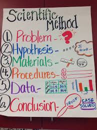 scientific method anchor chart scientific method sixth