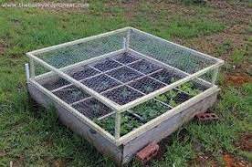 Check spelling or type a new query. How To Keep Critters Out Of Your Raised Beds My Aunt Has The Neatest Way To Keep Critters Out Of Your Rais Raised Vegetable Gardens Raised Garden Raised Beds