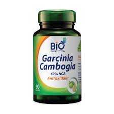 Image result for Garcinia buchneri