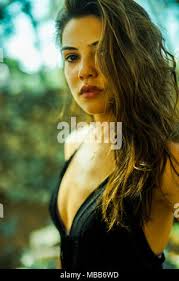 Vanessa viola hi-res stock photography and images