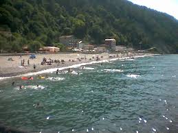 Sinop'un sıcaklığında sizin içinizi ısıtacak escort bayanlar ile tanışın. Sinop Ayancik Ayancik Il Ilce Resimleri