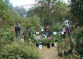Cependant, pour en profiter un maximum, il nous faut magnifier ces nouveaux paysages. Une Fete D Automne Au Jardin Pres De Dinan Les 17 Et 18 Octobre Le Petit Bleu
