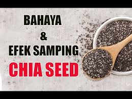 Banyak didapati di mexico dan bolivia. Efek Samping Chia Seed Untuk Kesehatan Youtube