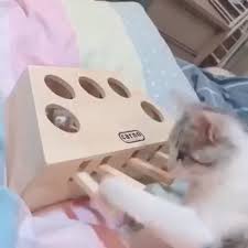 Wooden Cat Whack A Mole Toy Video Video In 2020 Wooden Cat Cat Toys Pets