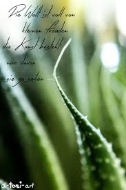 Natur Blumen Details Berchtesgaden A Toni Arts Webseite Spruche Zitate Schone Spruche