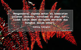 Berikut adalah 50 kumpulan quotes, kutipan kata kata mutiara bijak, kata kata lucu, kalimat pribahasa, ungkapan pepatah, dan kata kata m. 30 Kata Kata Merokok Jagokata