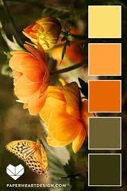 Pink ist eine farbe die von vielen geliebt wird. Olivgrun Und Orange Farbpalette Apartmentdecoratingyellow Farbpalette Olivgrun Orange Und Orange Butterf Orange Farbpaletten Farbabstimmung Farbpalette