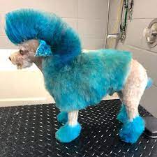 Dog Hair Dye For Creative Grooming Opawz Permanent Dye Dog Dye Dog Hair Dye Creative Grooming