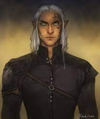 Rowan Whitethorn Rowanwhitethorn Throneofglass Sarahjmaas Litjoycrate Gabriellabujdoso Throne Of Glass Fanart Throne Of Glass Books Throne Of Glass