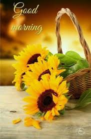 Sunflower quotes to brighten your life. Good Morning Wallpaper Good Morning Image Good Morning With Sunflower 632x960 Wallpaper Teahub Io