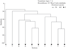 With new packaging and added menu, our japanese chef brings you the best authentic don takeaways food within klang valley, we pride ourselves for using premium ingredients to craft authentic. Modiolus Modiolus Communities Of Onega Bay White Sea How Stable Are They Over Time And Space Springerlink