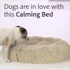 Comfy Calming Dog Cat Bed For Dogs Cats Buy 2 Get 10 Off Code Jm10 Buy 3 Get 15 Off Dog Pet Beds Dog Bed Pets
