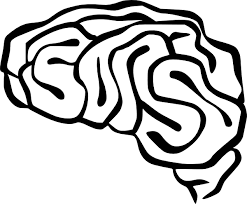 Brain Clip Art 125507 Free Svg Download 4 Vector