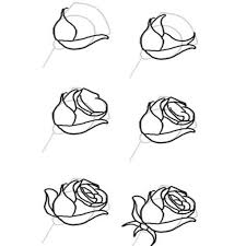Maybe you would like to learn more about one of these? 28 Cara Menggambar Gambar Bunga Mawar Sketsa Terkini Lingkar Png